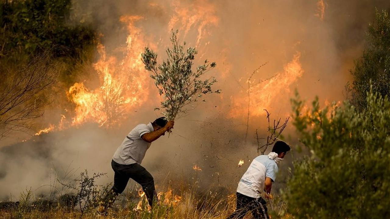 Son Dakika… 6 ilde korkunç tablo!  Bakan Kurum orman yangınlarının bilançosunu açıkladı