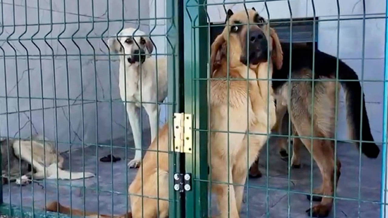 Valilik istedi AKP'li Arnavutköy Belediyesi harekete geçti