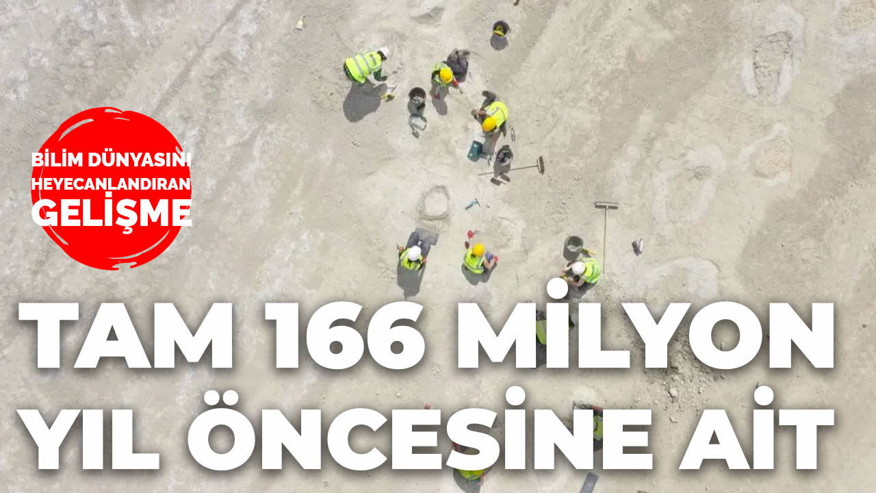 166 milyon yıl öncesine ait dinozor ayak izleri keşfedildi