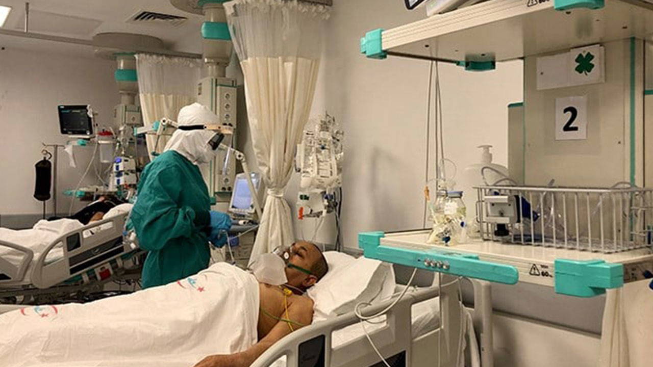 'Deli dana' hastalığı şüphesi!