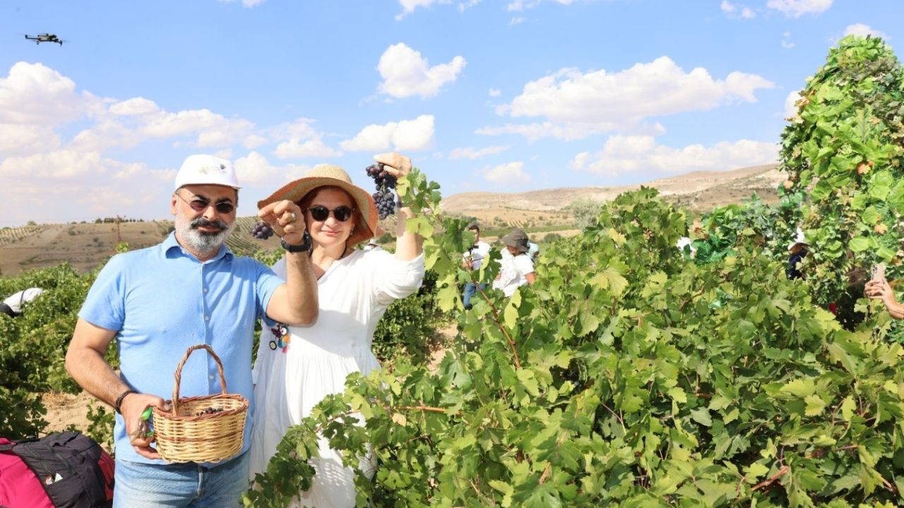 Ürgüp'te 53. Bağ Bozumu Festivali sünnet şöleniyle birlikte gerçekleştirildi