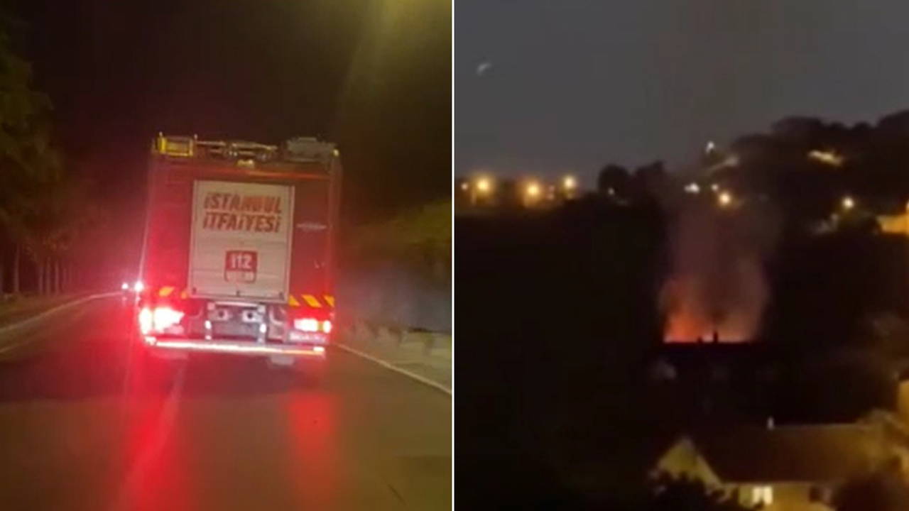 Son Dakika... İstanbul'da orman yangını: Nedeni belli oldu!