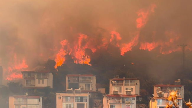 İzmir'de korkutan yangın