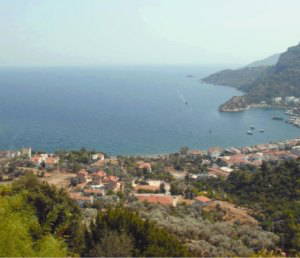 Kartalın kanatları altında: Turunç