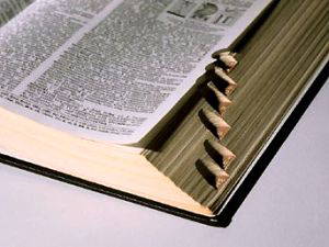 Türk dilinin 570 bin sözcüğü dev sözlükte toplanıyor