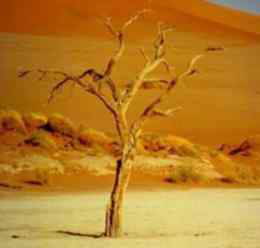 Doğal kaynaklarını en hızlı tüketen ülke Türkiye