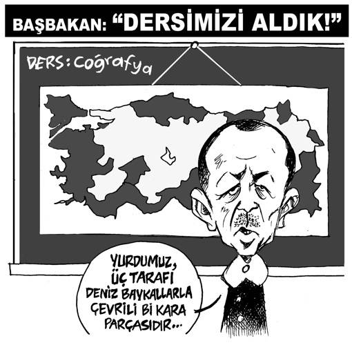 İğneli Fırça