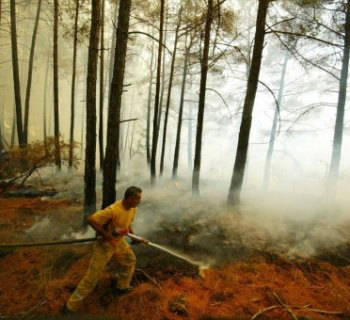 Yangın kontrol altına alındı