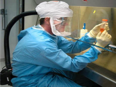 Kordon kanları devletin bankasında saklanacak