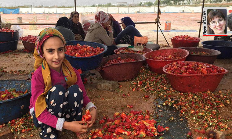 Okulda değil, işteler!