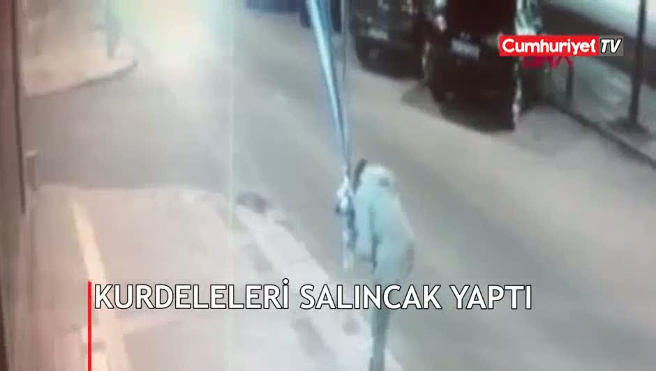 Kurdeleleri salıncak yaptı