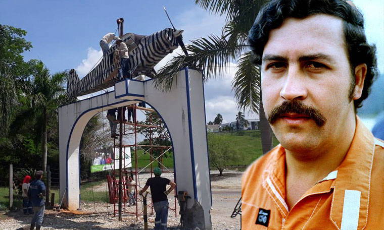 Pablo Escobar'ın çiftliğinin kapısı yıkılıyor