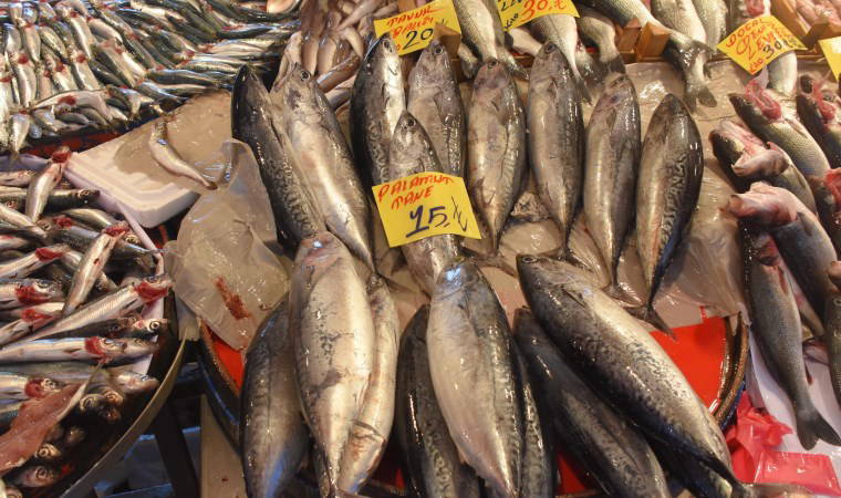 Balıkseverler dikkat! Palamut yerine bakın ne satıyorlar