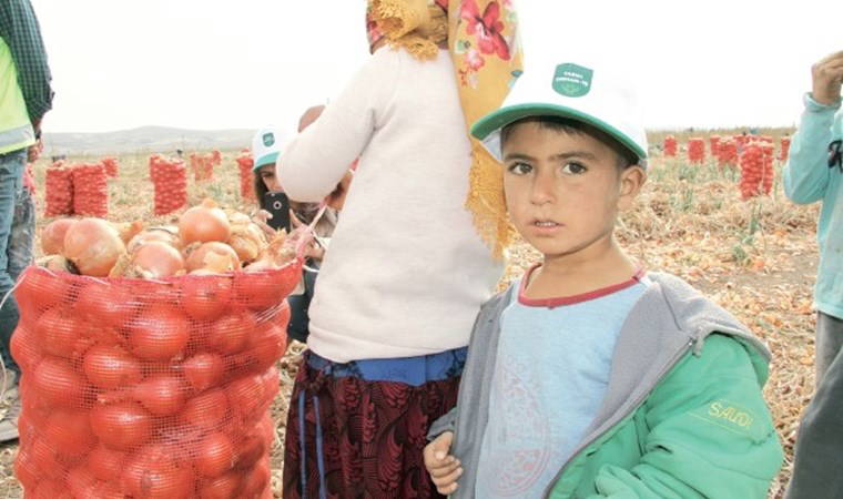Çocuklar okulda değil, tarlada (08.11.2019)