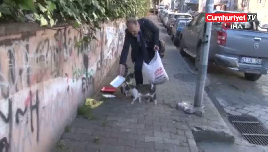 Kedi tırmığı 'adam yaralama' suçu sayıldı