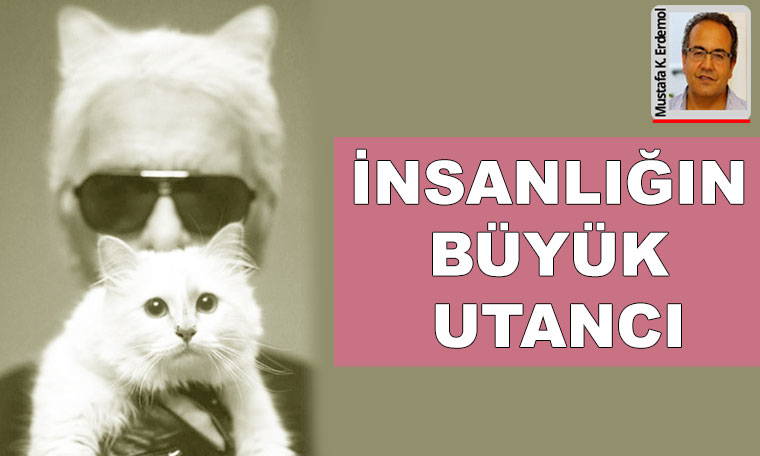 Tarihin en büyük köpek katliamı.. İnsanlığın büyük utancı