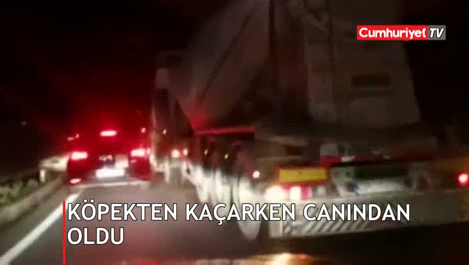 Çalışmak için geldiği Bodrum'da feci şekilde can verdi