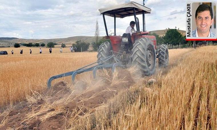 Buğday ve arpada açıklanan alım fiyatları, girdilerdeki artışın gerisinde kaldı