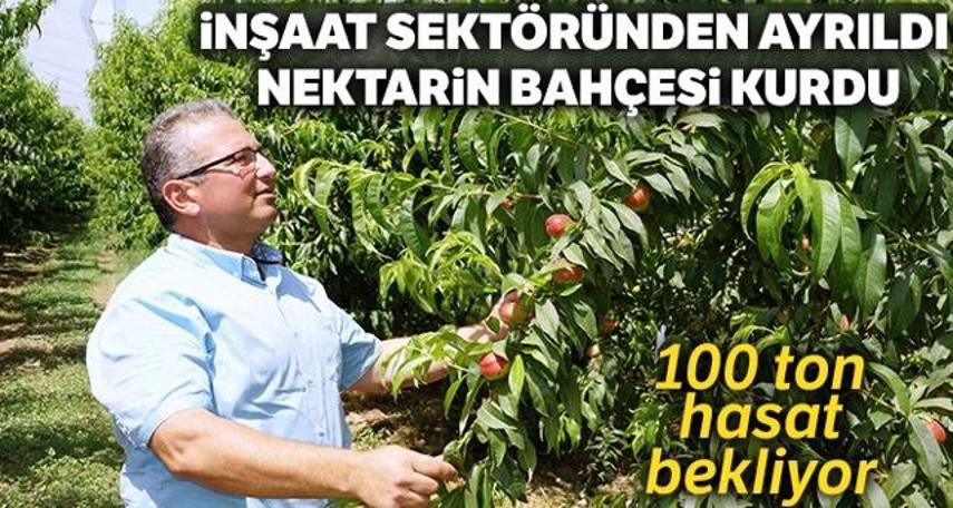 İnşaat sektöründen ayrıldı, nektarin bahçesi kurdu