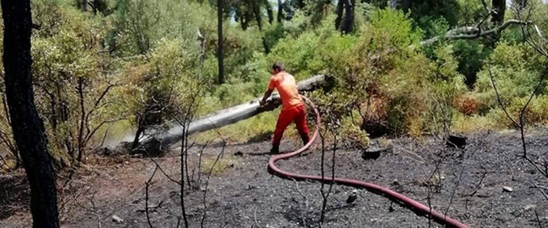 Heybeliada'da orman yangını (06.06.2019)