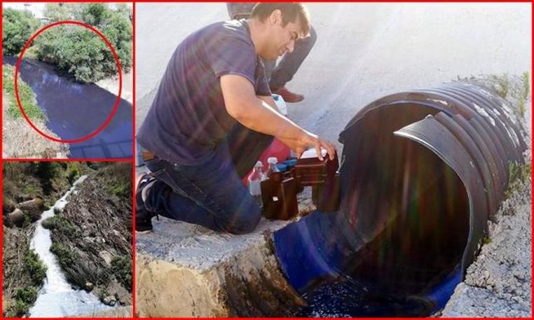 Derenin rengi değişti, inceleme başlatıldı