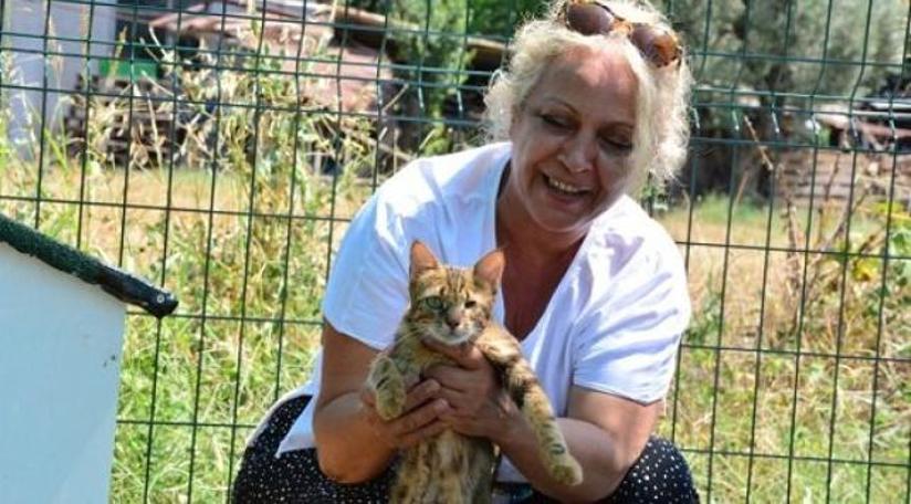 Torbalı Belediyesi hayvanseverlerin sesini duydu