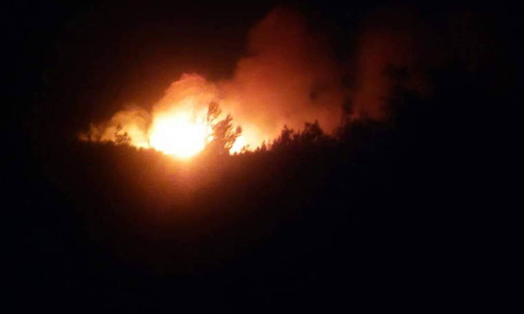 Çanakkale'deki orman yangını kontrol altında