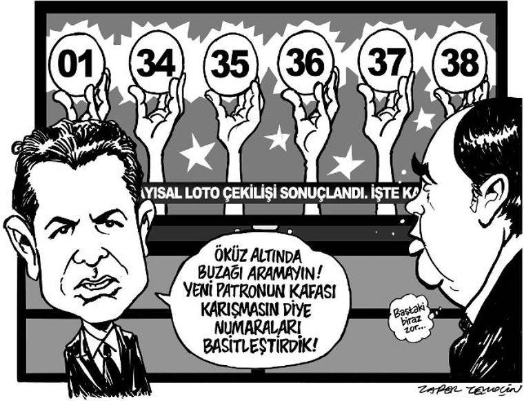 iğneli fırça (17.08.2019)