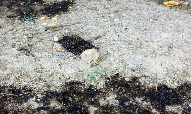 Manavgat’ta yangın: 10 dönümden fazla alan zarar gördü