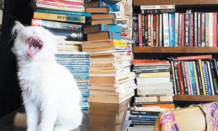 ‘Çizgi ve Sahaf Günleri’ Kadıköy’de