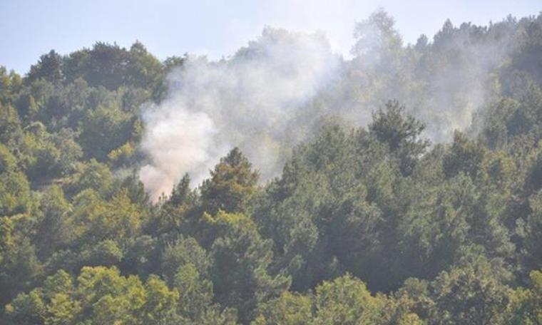 Sinop'ta şüpheli orman yangını