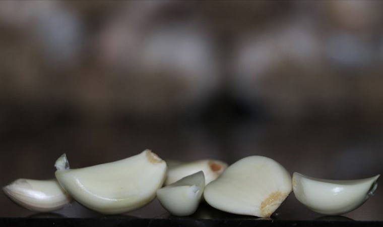 Sarımsak için alerji uyarısı