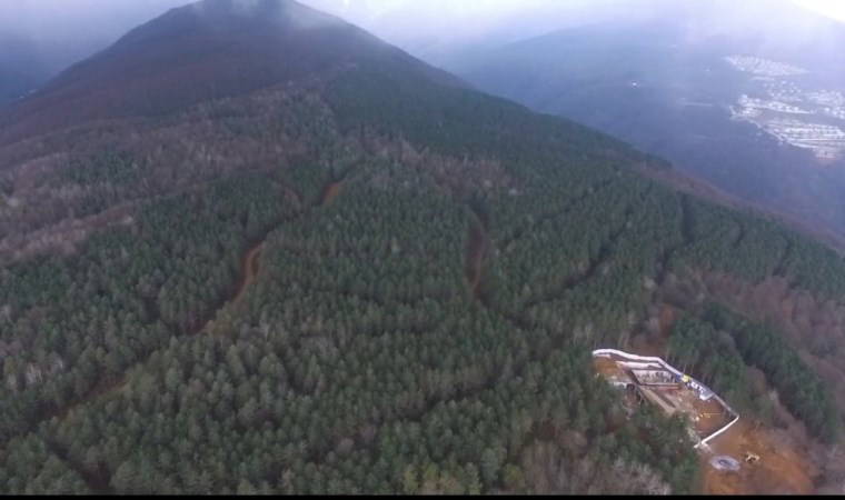 Sapanca Kırkpınar'da doğa katliamı!