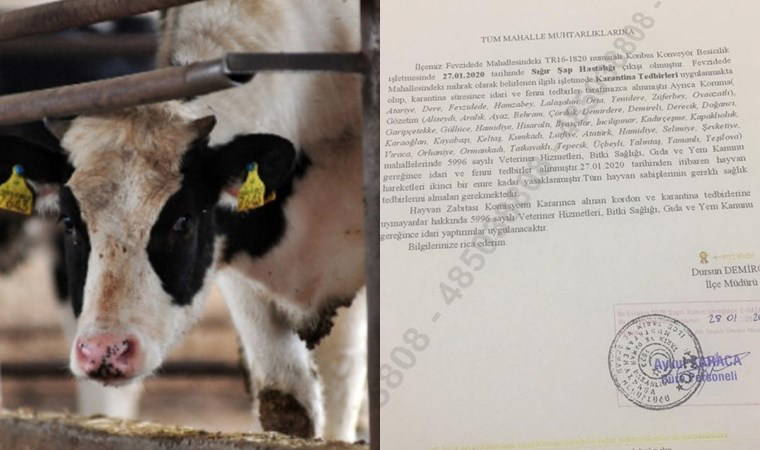 Bursa'da 'şap' karantinası: 35 mahalle gözetim altında olacak