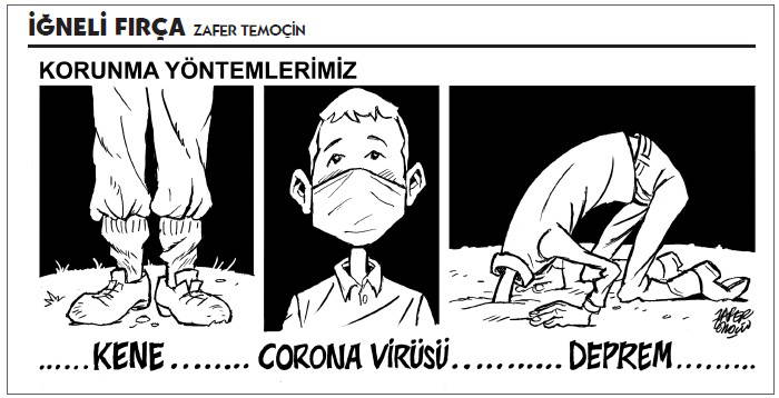 İğneli Fırça (30.01.2020)