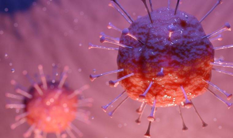 Bilim insanları, koronavirüsün beyne sızabildiğini doğruladı