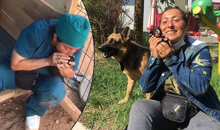 Köpek yavrularını suni teneffüsle hayata döndürdü