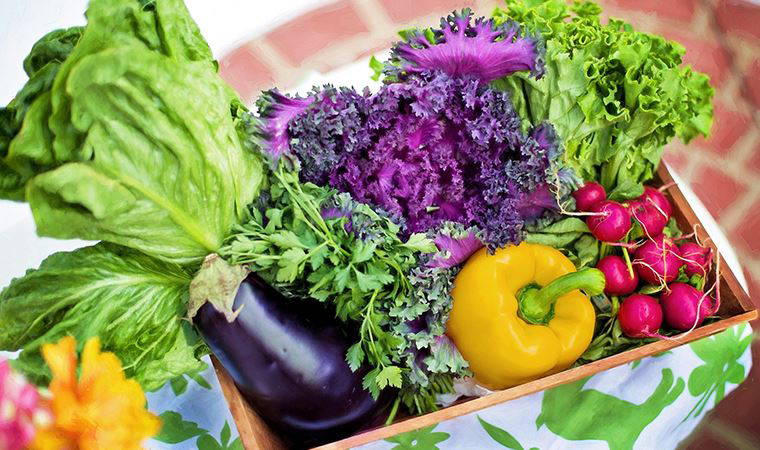 Hem grip hem de Covid-19’dan koruyan besinler