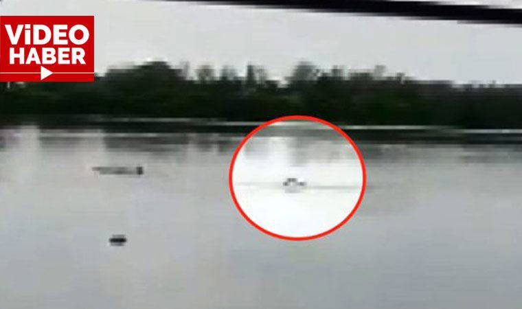 Uyarıları dinlemeden göle girdi, timsah saldırısında öldü