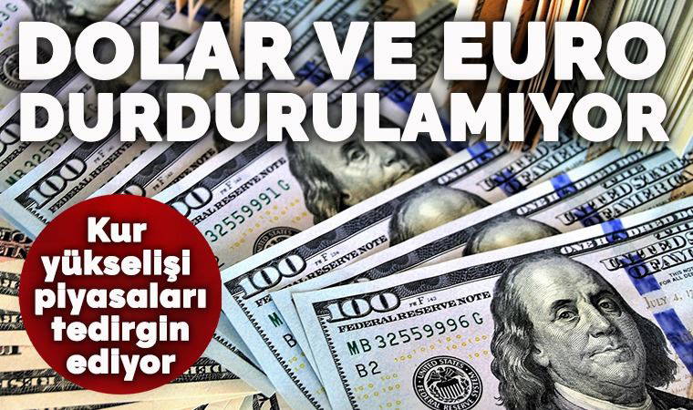 Dolar/TL 8 TL'yi aştı