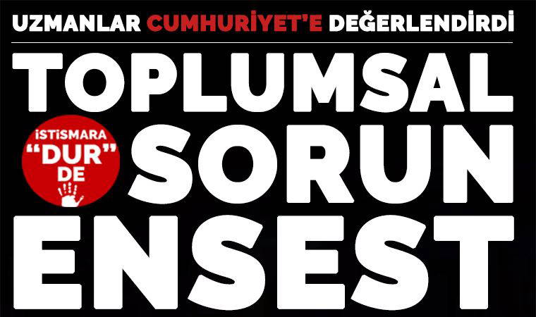 Toplumsal Sorun Ensest: Uzmanlar değerlendirdi