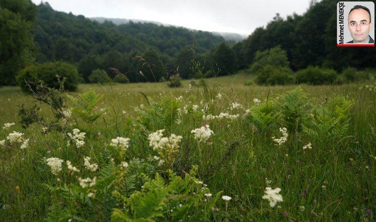 Tokat ve Amasya'da sinayürle altın aranmasına izin verildi. Çevre sakinleri karara tepkili