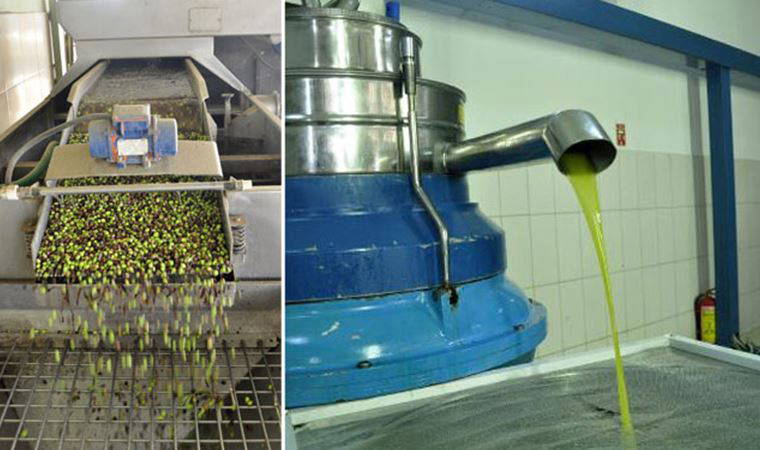 Zeytinyağı ile ilgili önemli uyarı: '16- 17 liraya zeytinyağı olmaz'