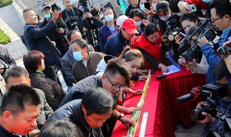 Çin'de yetiştirilen yeşil soğan Guinness rekorlar kitabına girdi