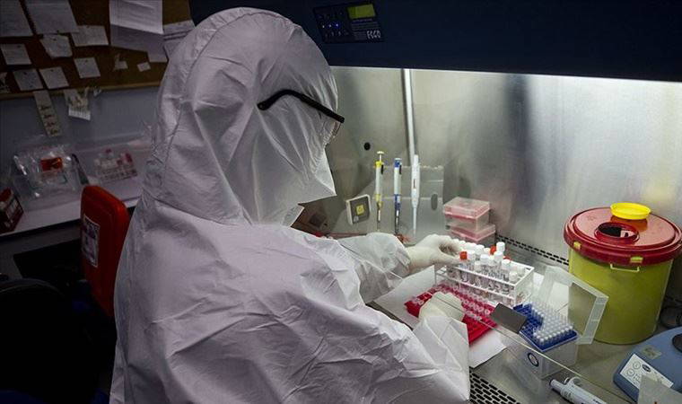 Prof. Dr. Mustafa Necmi İlhan: 'Tat ve koku kaybı 3 haftada geçmezse, hekime başvurun'