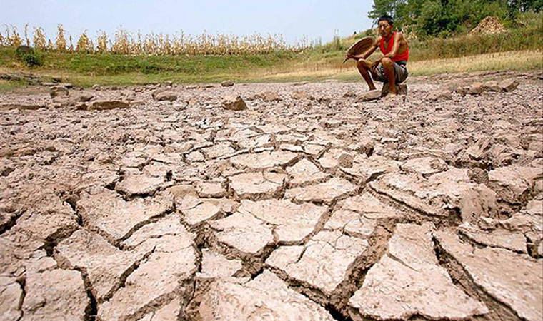 TZOB Genel Başkanı Bayraktar kuraklıktan zarar gören çiftçiler için destek istedi