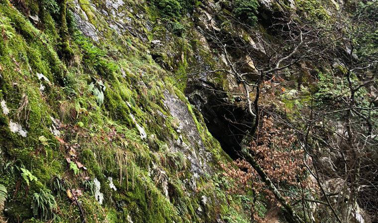 Alman bilim insanı Sintenis’in Kaz Dağları’nda yaşadığı mağara turizme açılacak