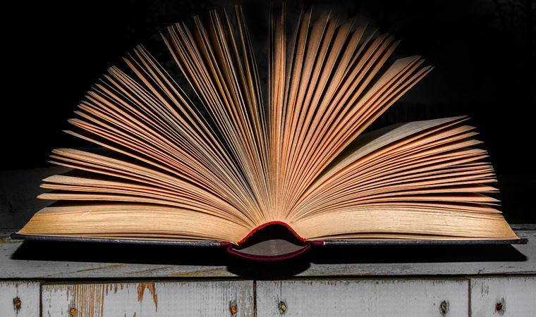 PEN Yazarlar Derneği'nden yeni karar: Tacize karşı 'Onur Komisyonu' kurulacak