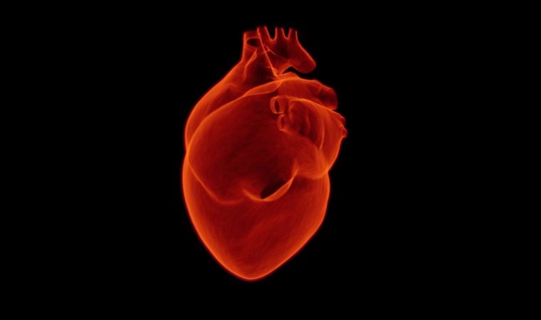 Uzmanı anlattı: Kalp krizi nedir, her göğüs ağrısı kalp krizi belirtisi midir?