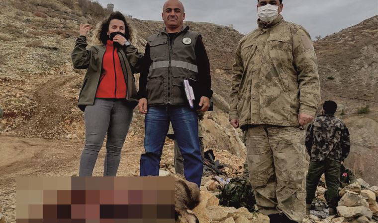 Koruma altındaki yaban keçisi avına 30 bin lira ceza